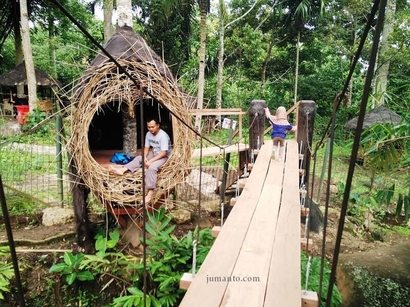 penangkaran rusa tahura war lampung