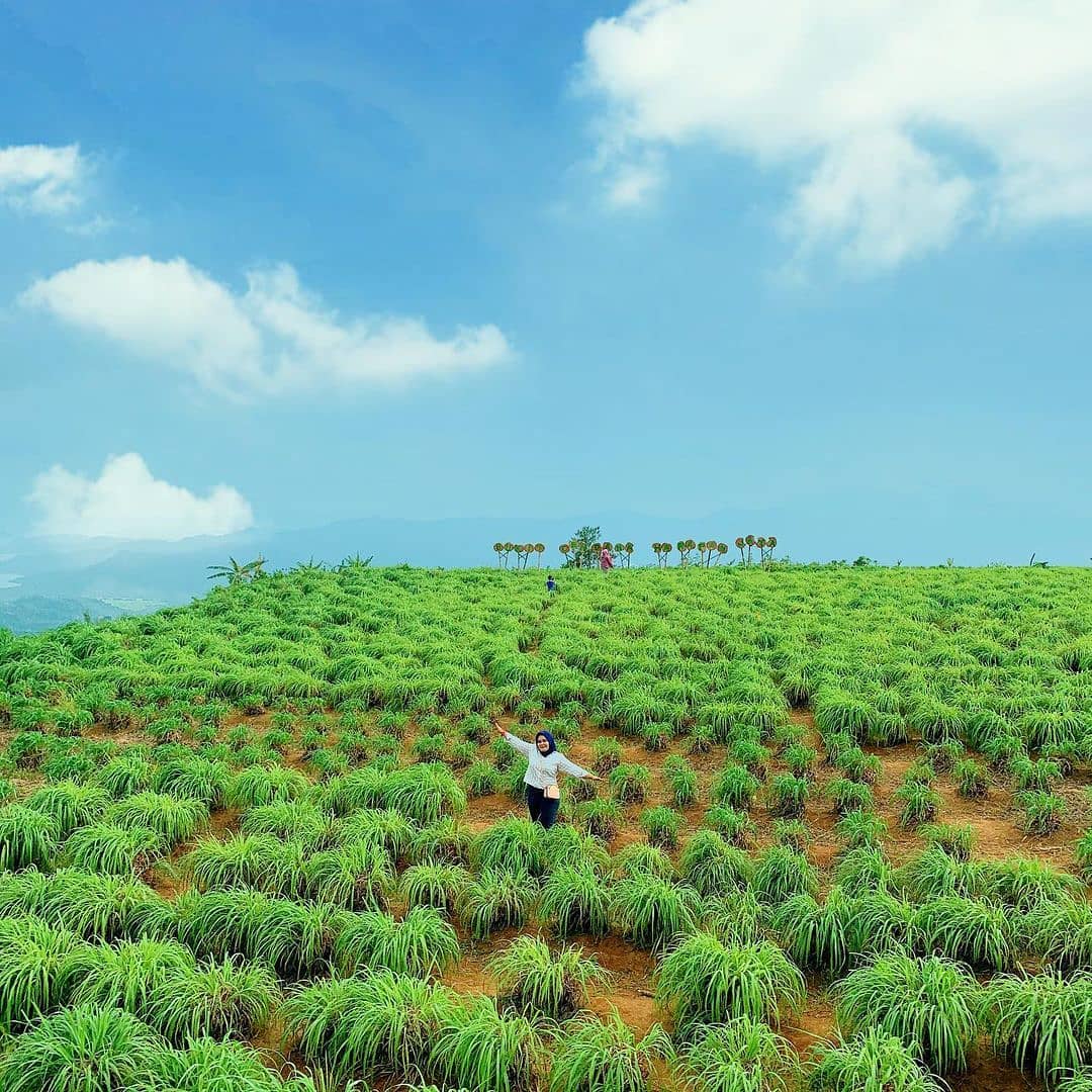 foto bukit cendana pesawaran lampung